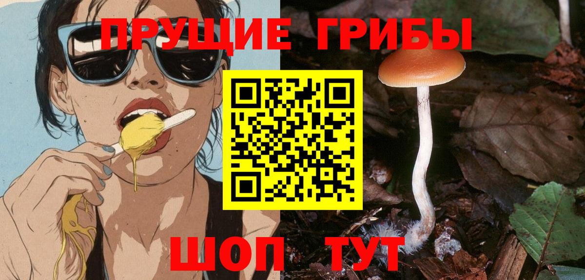 Галлюциногенные грибы прущие грибы Нефтекамск
